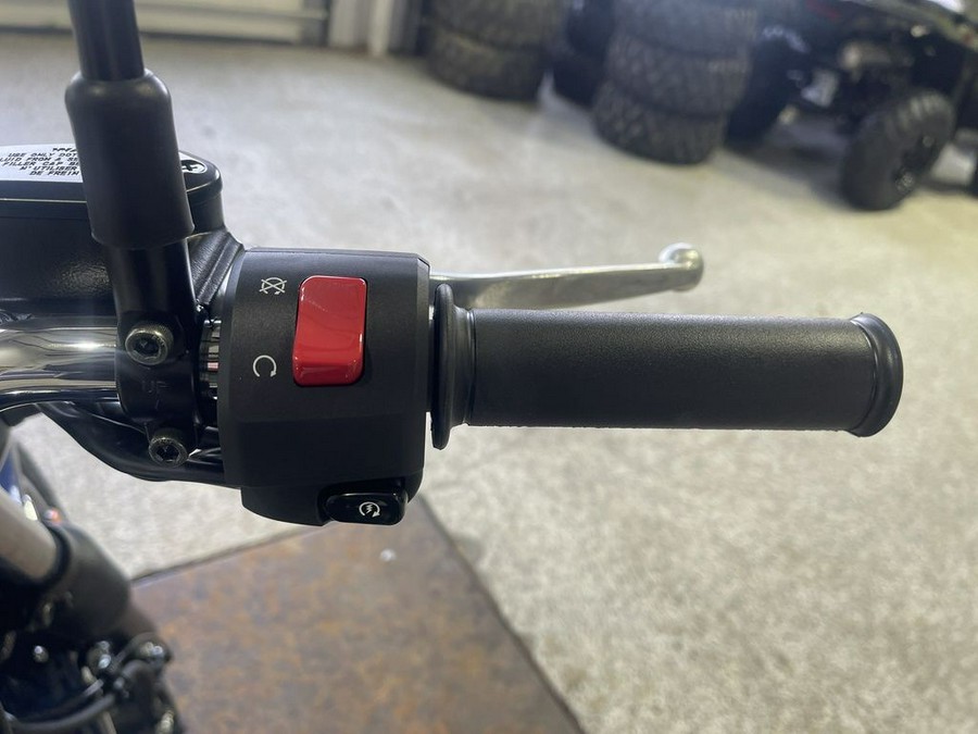 2025 Kawasaki W230 ABS