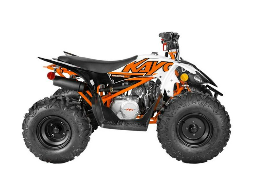 2025 Kayo Predator 125