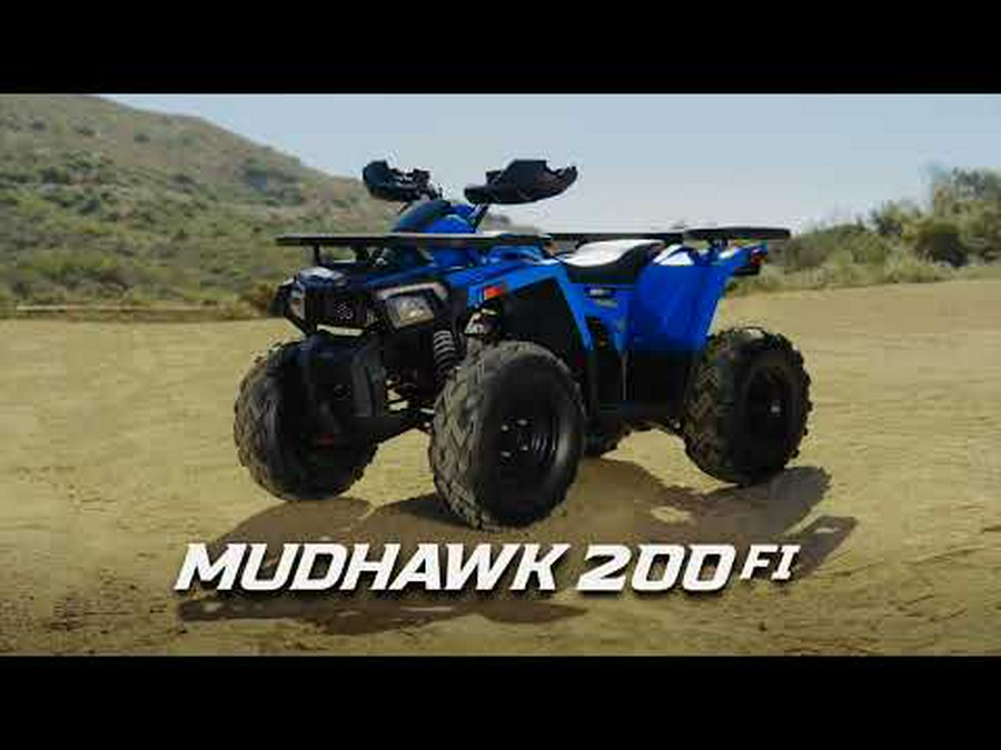 2026 Denago Powersports Mudhawk 200FI