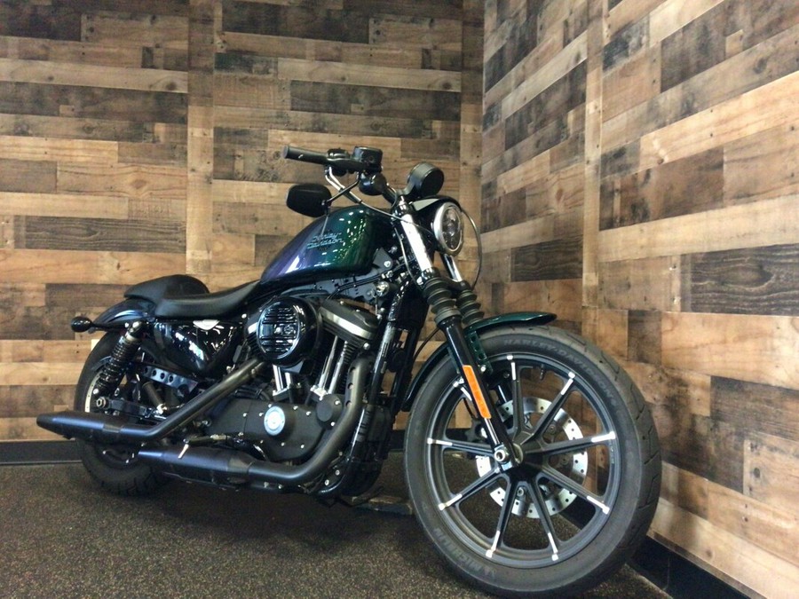 2021 HarleyDavidson® Iron 883™ Snake Venom for sale in Sellersville, PA
