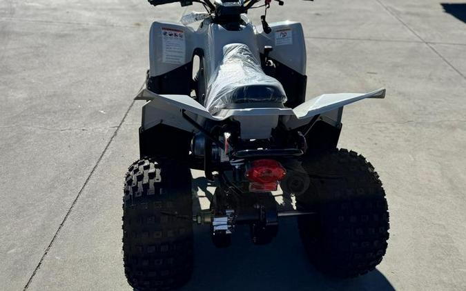 2025 KYMCO Mongoose 110i