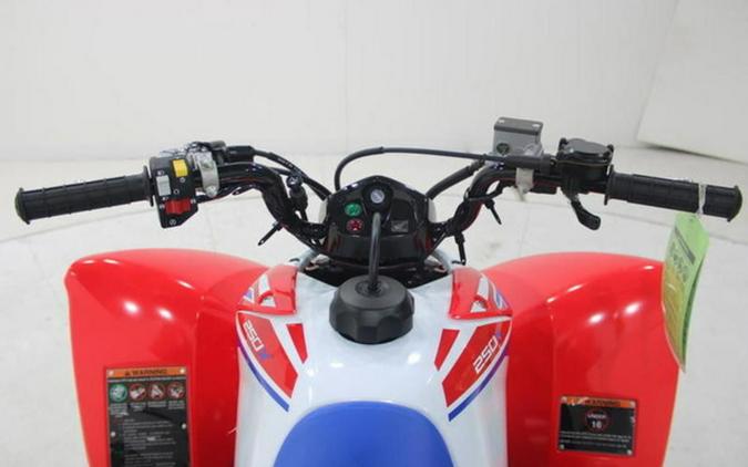 2026 Honda TRX 250X