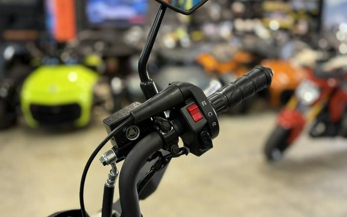 2025 Kawasaki Z125 PRO