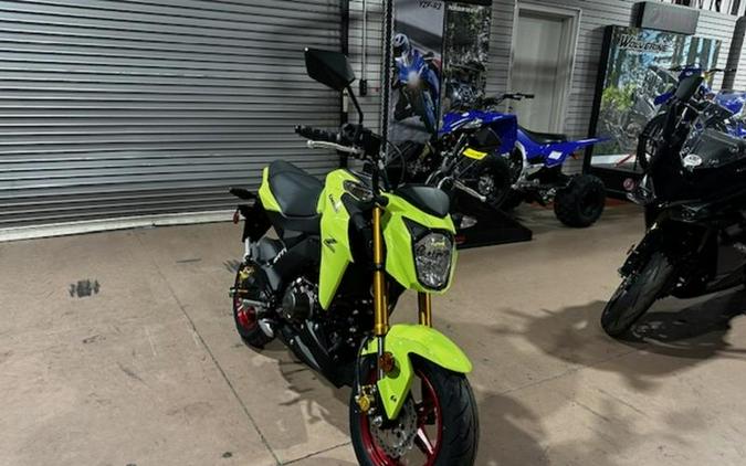 2026 Kawasaki Z125 PRO