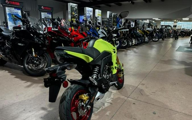 2026 Kawasaki Z125 PRO