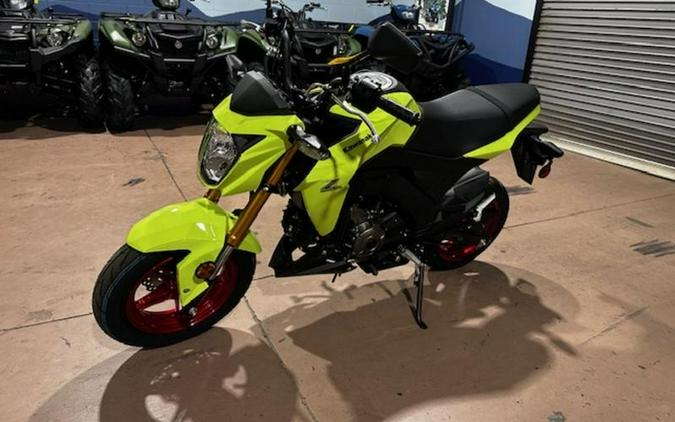 2026 Kawasaki Z125 PRO