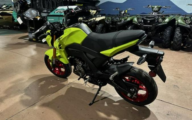 2026 Kawasaki Z125 PRO