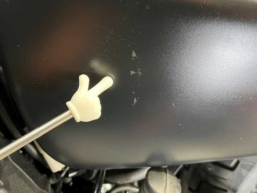 2020 Harley-Davidson Iron 883™