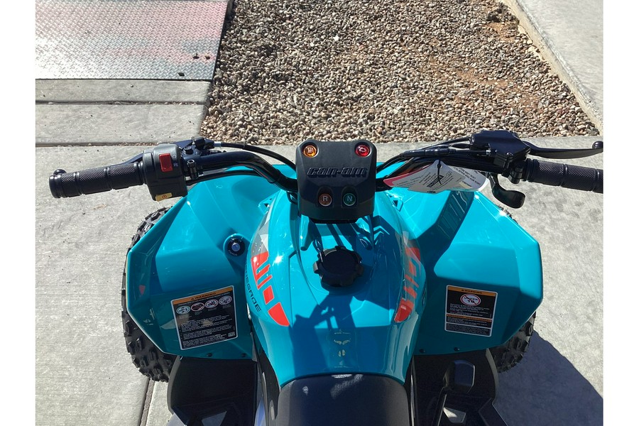 2026 Can-Am Renegade 110 EFI