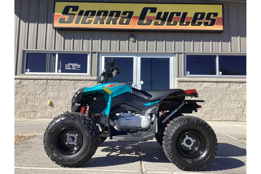 2026 Can-Am Renegade 110 EFI