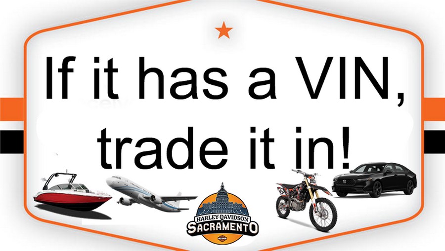 Harley-Davidson® Softail® Standard 2023 FXST 039376B BLACK