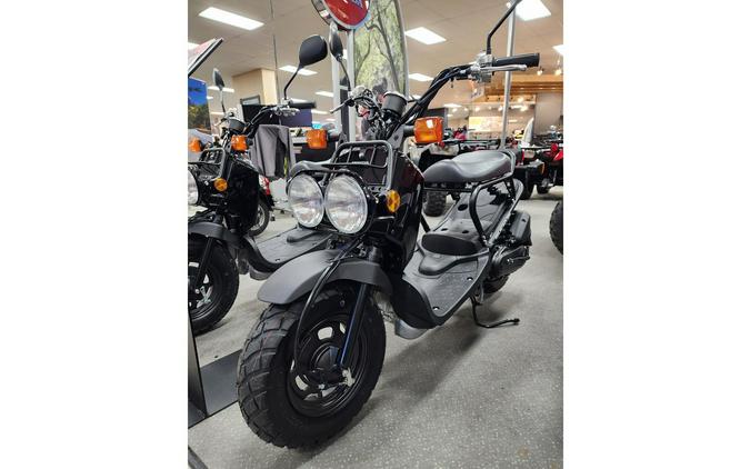 2024 Honda RUCKUS