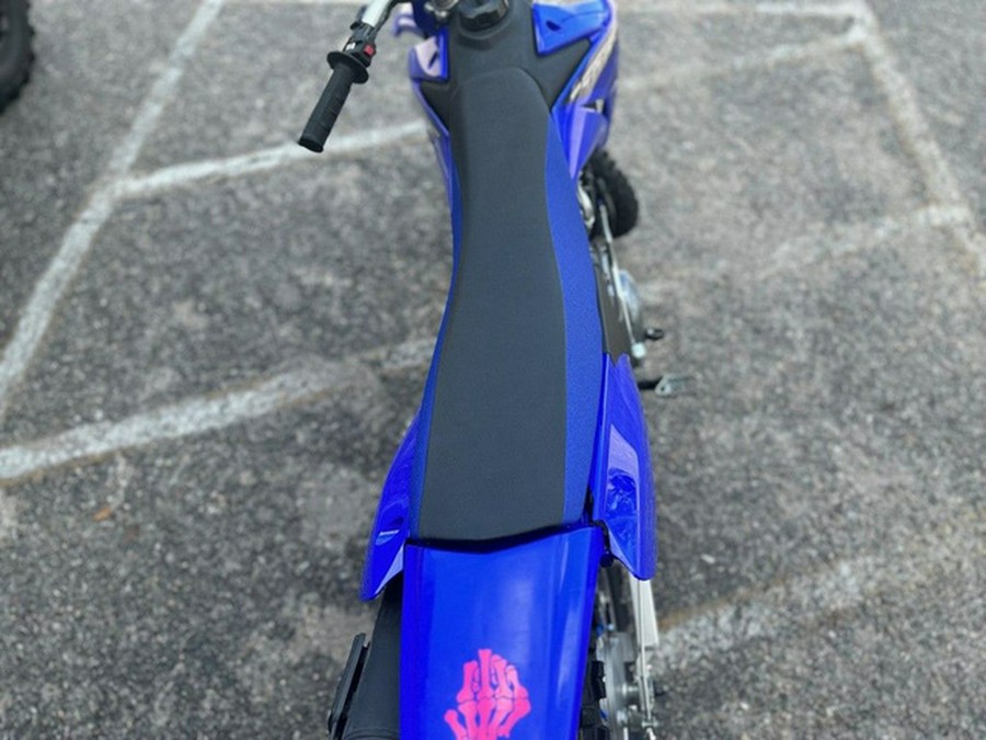 2023 Yamaha TT-R 125LE