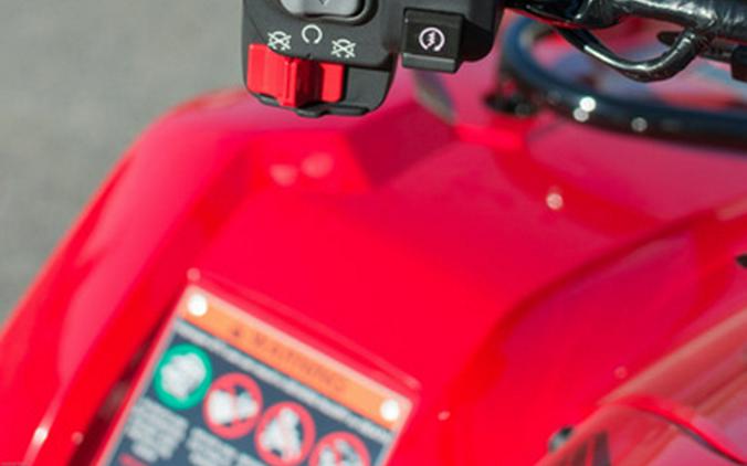 2025 Honda FourTrax Recon ES