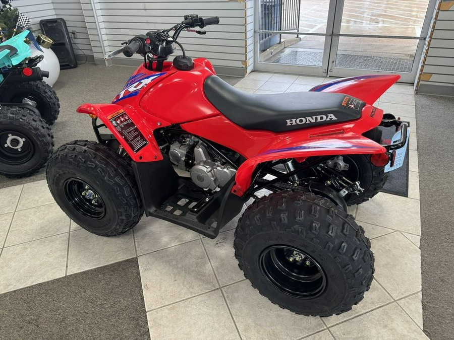 2024 Honda® TRX90X