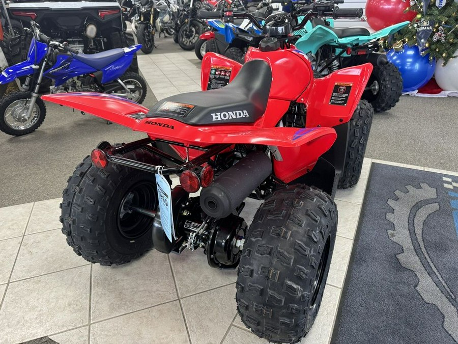 2024 Honda® TRX90X