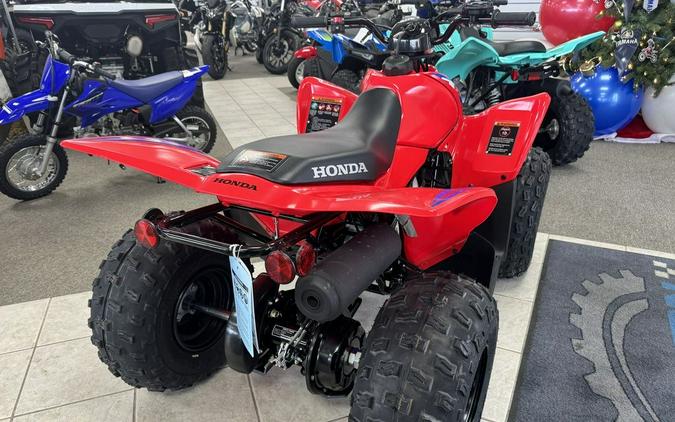 2024 Honda® TRX90X