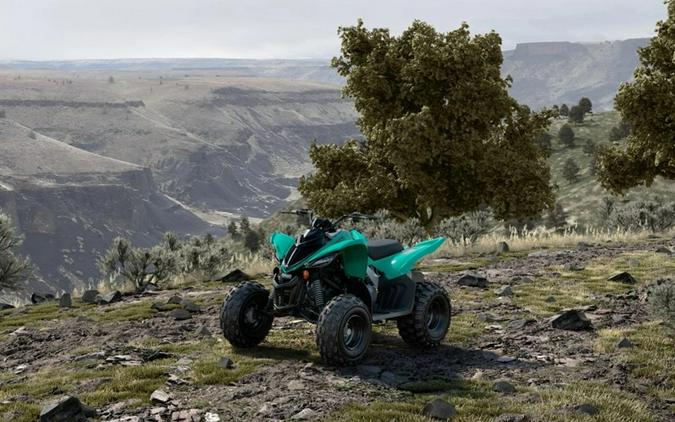 2025 Yamaha Raptor 110