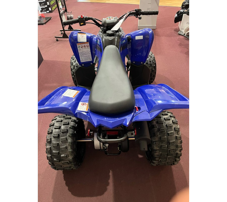 2025 Yamaha Raptor 110