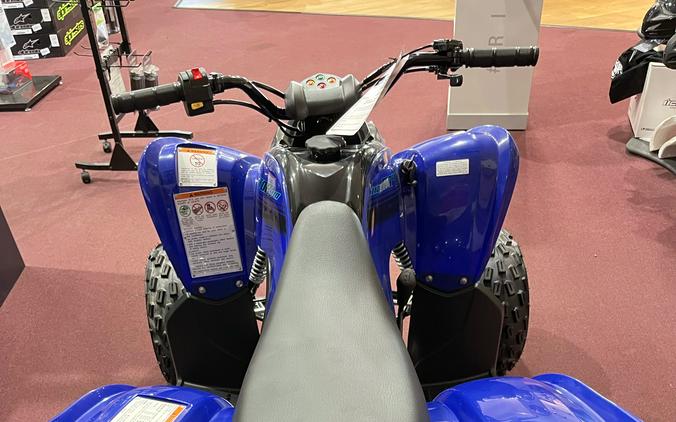 2025 Yamaha Raptor 110