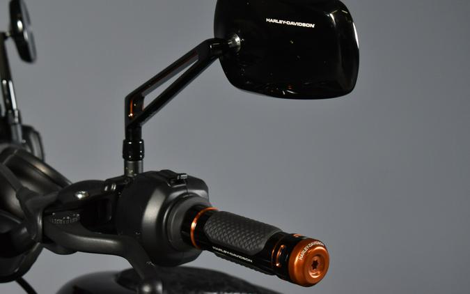 2023 Harley-Davidson Nightster