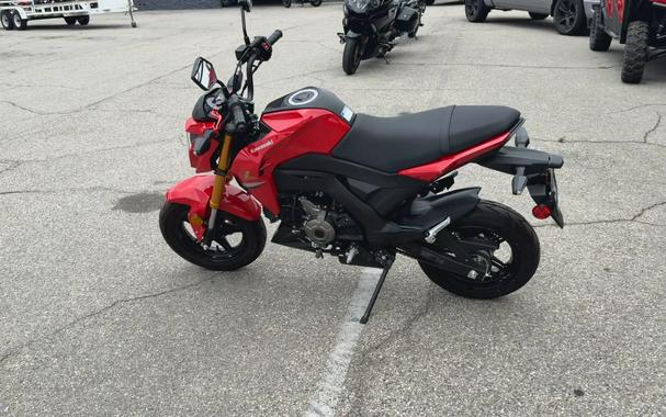 2023 Kawasaki Z125 PRO