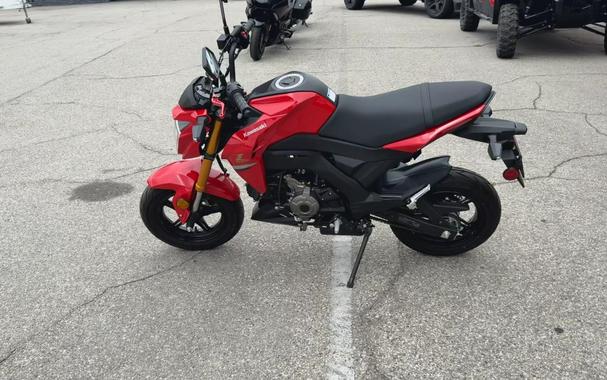 2023 Kawasaki Z125 PRO