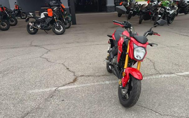 2023 Kawasaki Z125 PRO