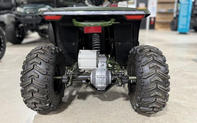 2023 Denago Powersports E-Hawk 6