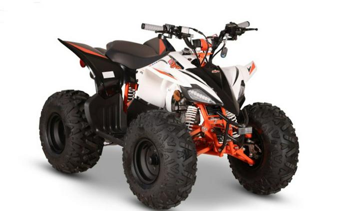 2027 Kayo Storm 110