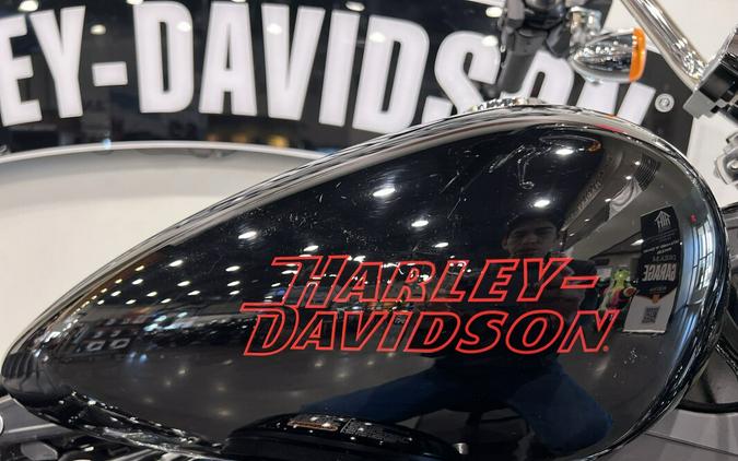 2023 Harley-Davidson Softail Standard