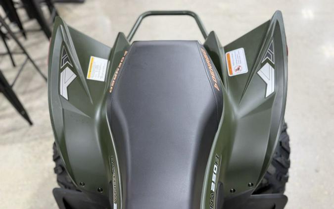 2025 Denago Powersports Daytona 250 FI
