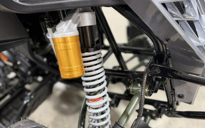 2025 Denago Powersports Daytona 250 FI