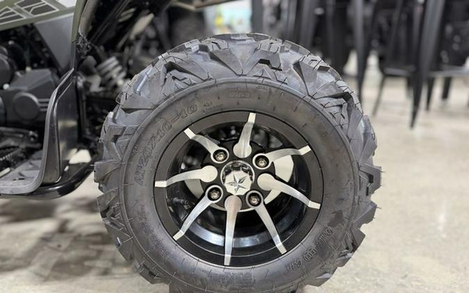 2025 Denago Powersports Daytona 250 FI