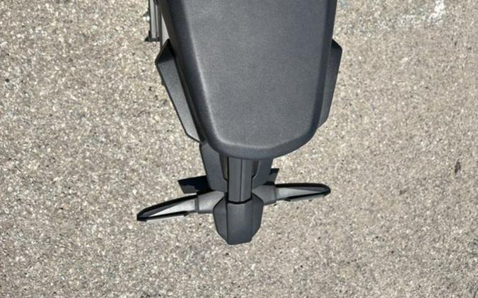 2024 Honda® CB300R ABS