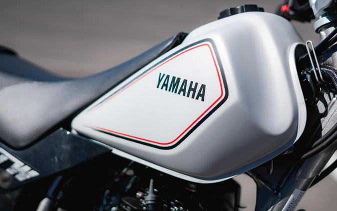 2025 Yamaha TW200