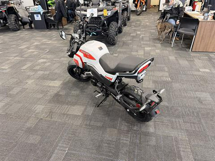 2026 CFMOTO Papio CL