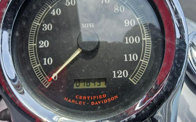 2003 Harley-Davidson FXSTD/FXSTDI Softail® Deuce™