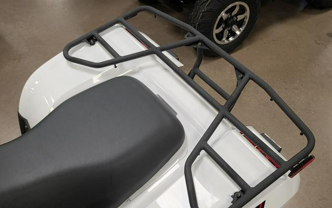 2025 Kawasaki Brute Force® 450 4x4