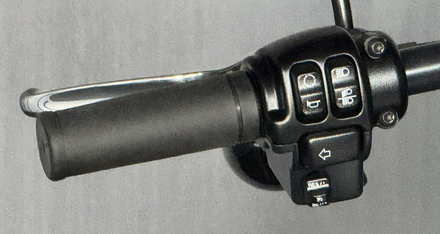 2025 Harley-Davidson® Low Rider™ S FXLRS BILLIARD GRAY