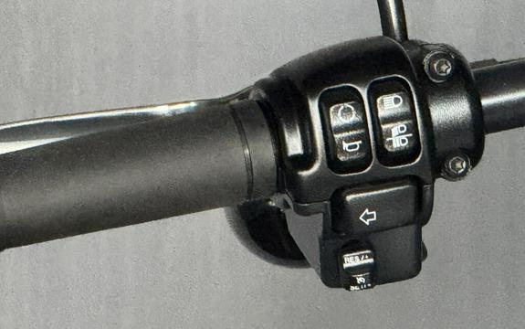 2025 Harley-Davidson® Low Rider™ S FXLRS BILLIARD GRAY