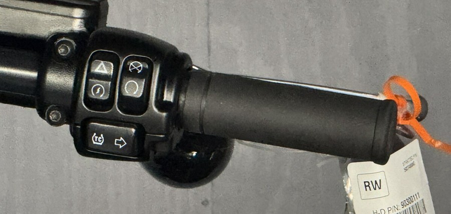 2025 Harley-Davidson® Low Rider™ S FXLRS BILLIARD GRAY