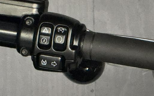 2025 Harley-Davidson® Low Rider™ S FXLRS BILLIARD GRAY