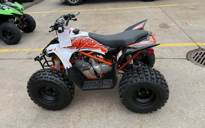 2026 Kayo Predator 125