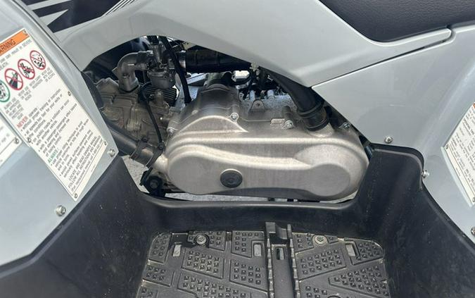 2022 Yamaha Raptor 90