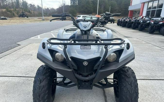 2022 Yamaha Raptor 90