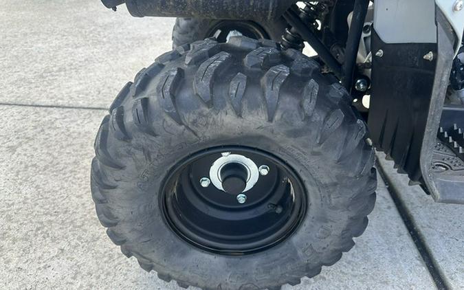 2022 Yamaha Raptor 90