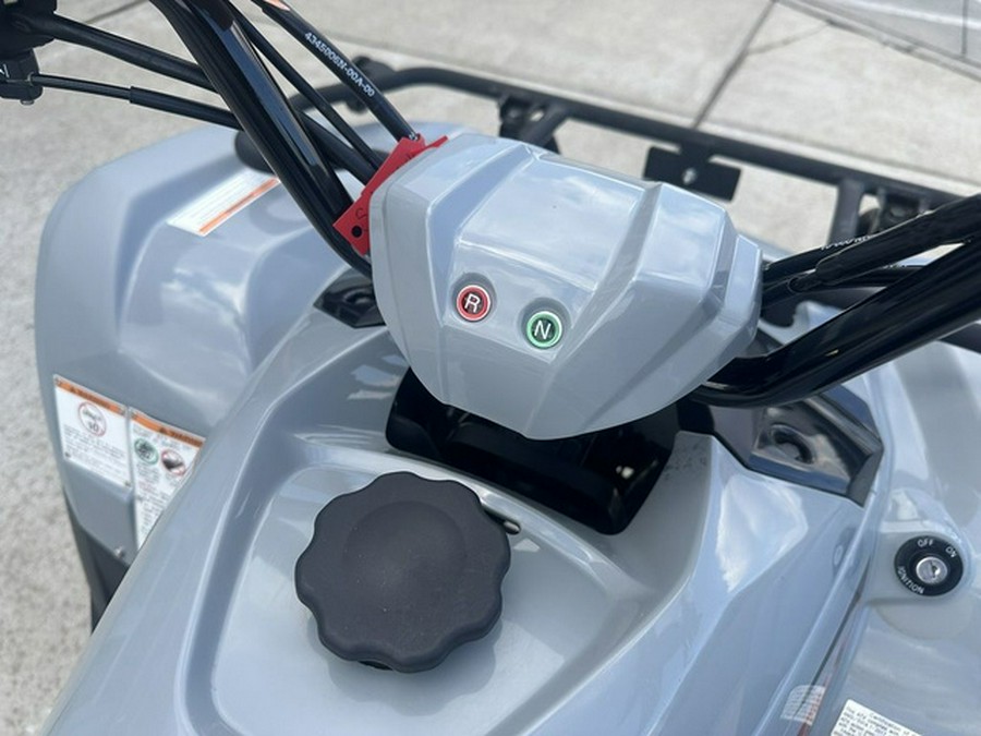 2022 Yamaha Raptor 90