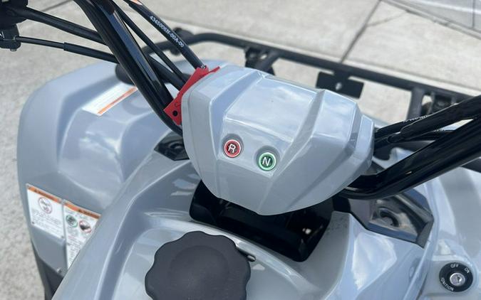 2022 Yamaha Raptor 90