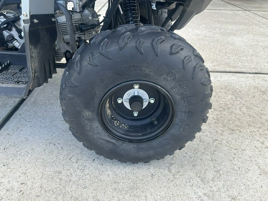 2022 Yamaha Raptor 90